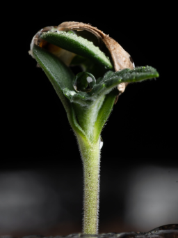 RIMANI AVANTI. CRESCI PIÙ INTELLIGENTEMENTE.