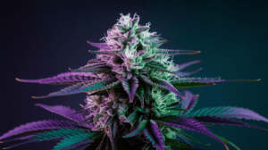 Pairing Green Crack with Food and Beverages