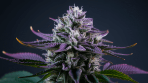 Green Crack Terpene Profile: Understanding the Aromatics